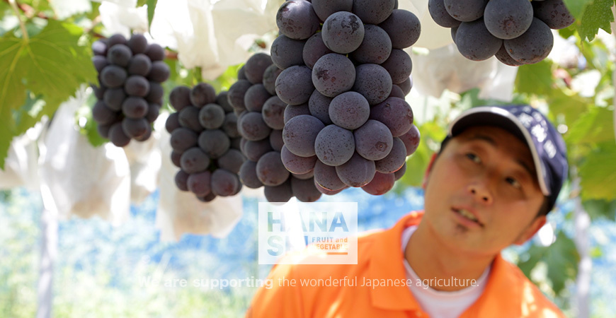 grapes6.jpg